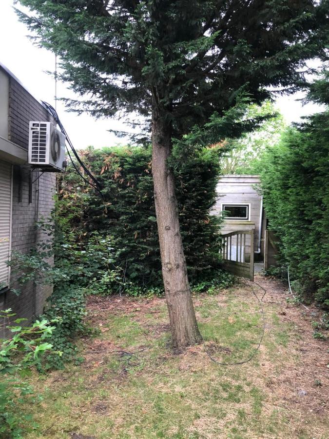 Knus Appartement Aan De Kust Strand Zee Havens 예르세케 외부 사진